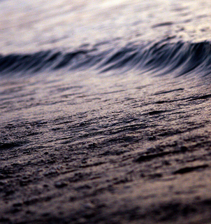 medium_3775041416.jpg